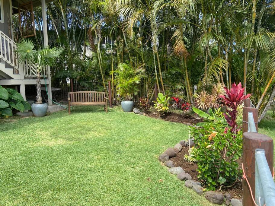 Private Ohana On The Lush Hamakua Coast With Ac Honokaa Экстерьер фото