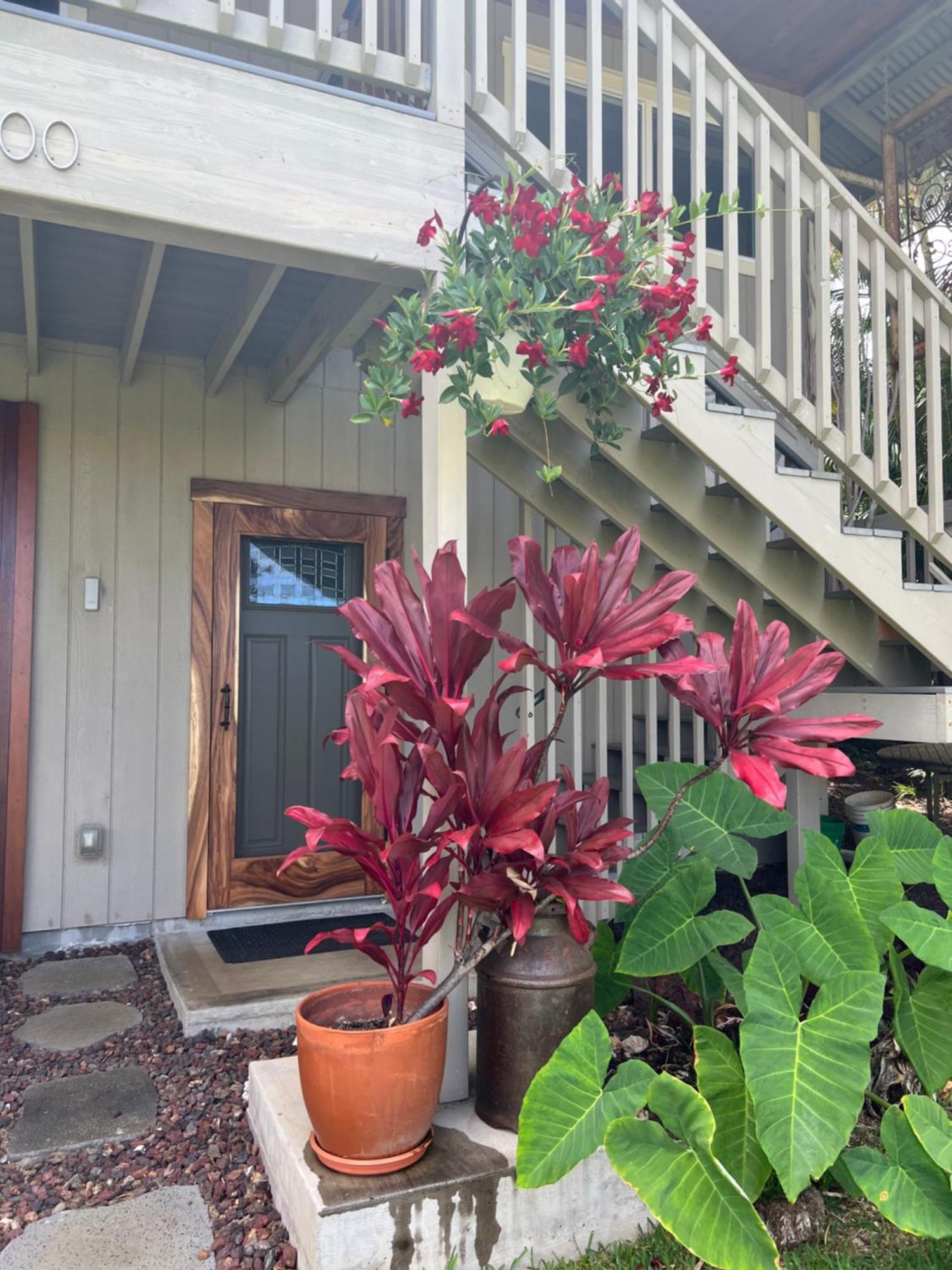 Private Ohana On The Lush Hamakua Coast With Ac Honokaa Экстерьер фото