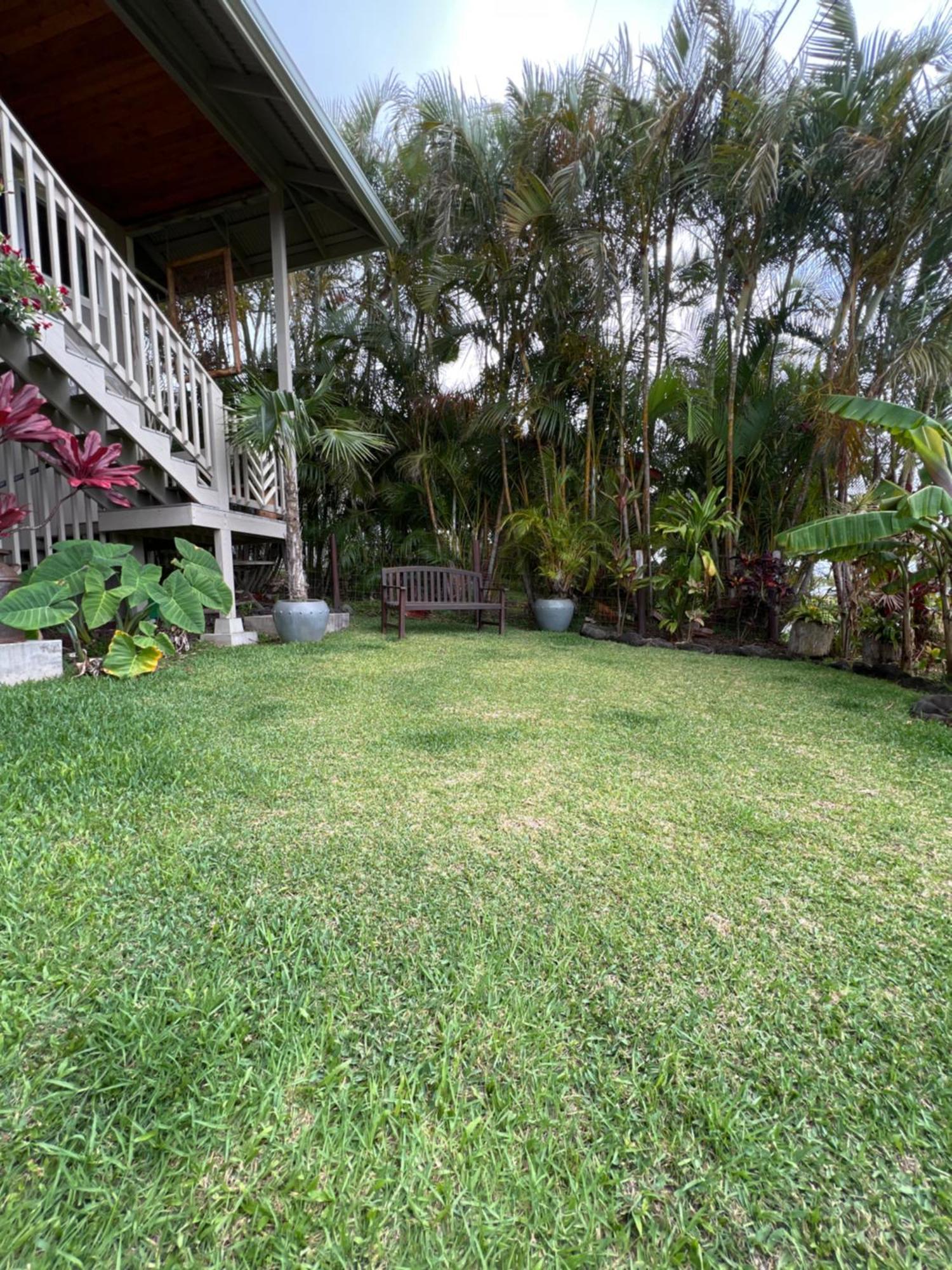 Private Ohana On The Lush Hamakua Coast With Ac Honokaa Экстерьер фото